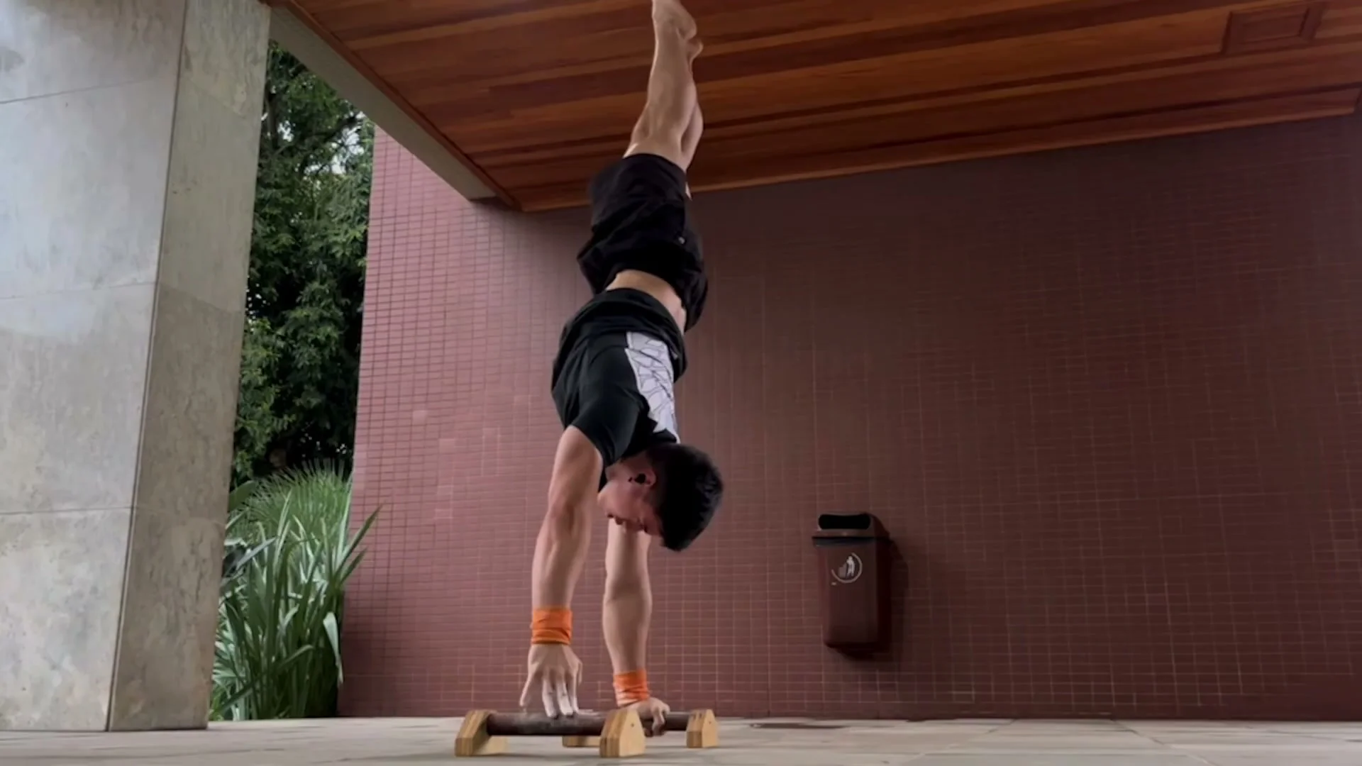 Daniel Hristov holding a handstand on parallettes outdoors with a straight body line and locked arms
